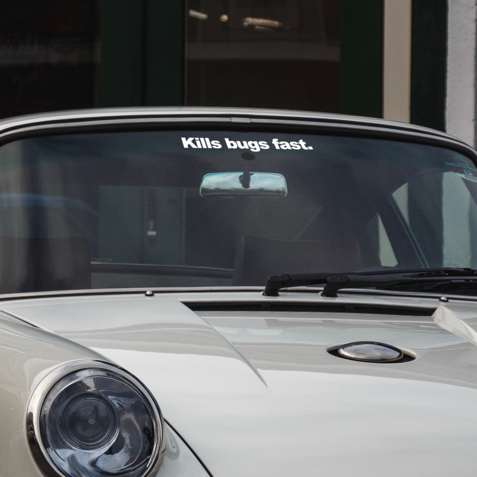 kills bugs fast sticker on grey porsche