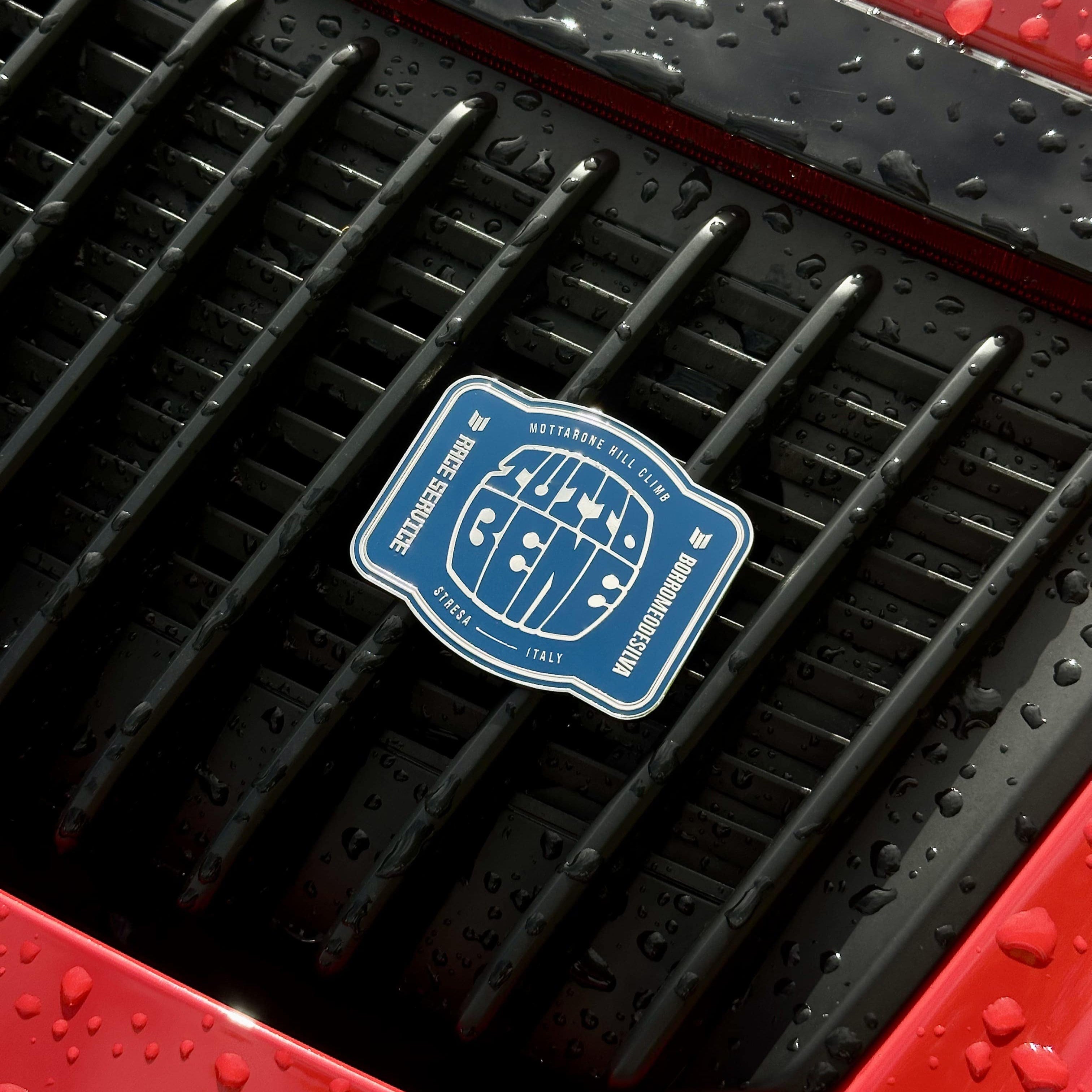 Close-up of a car grille with a logo on a red vehicle