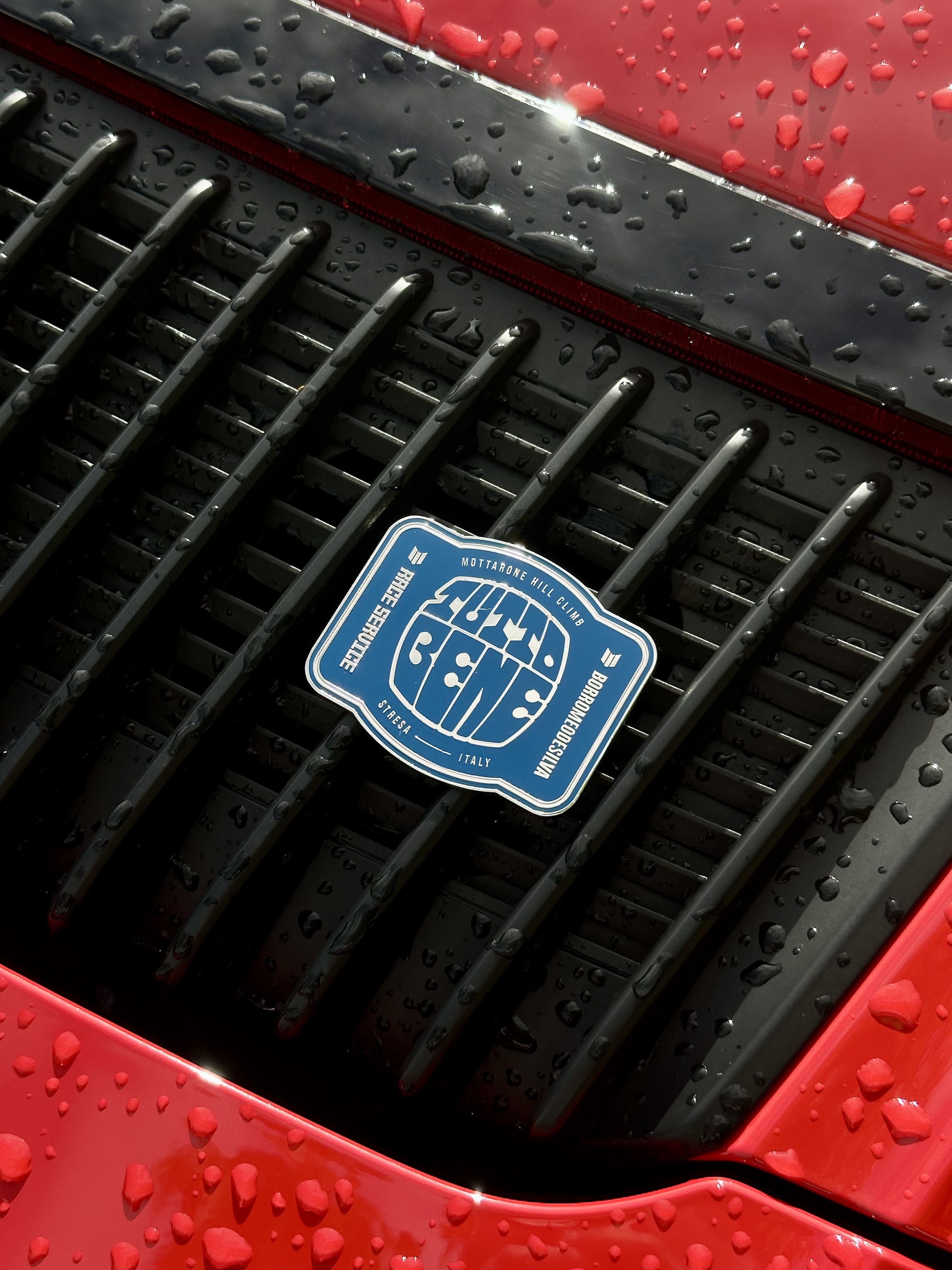 Close-up of a car grille with a logo on a red vehicle