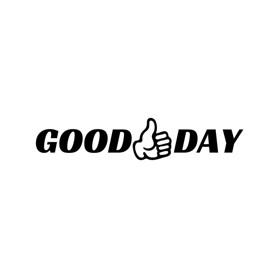 Car Decals – Page 2 – RENNBETRIEB