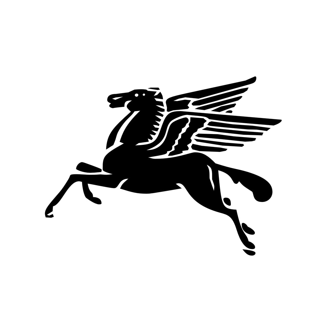 Set of two Racing Decals - Pegasus Set